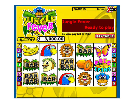 bingo cabin jungle fever 5 reel online slots game